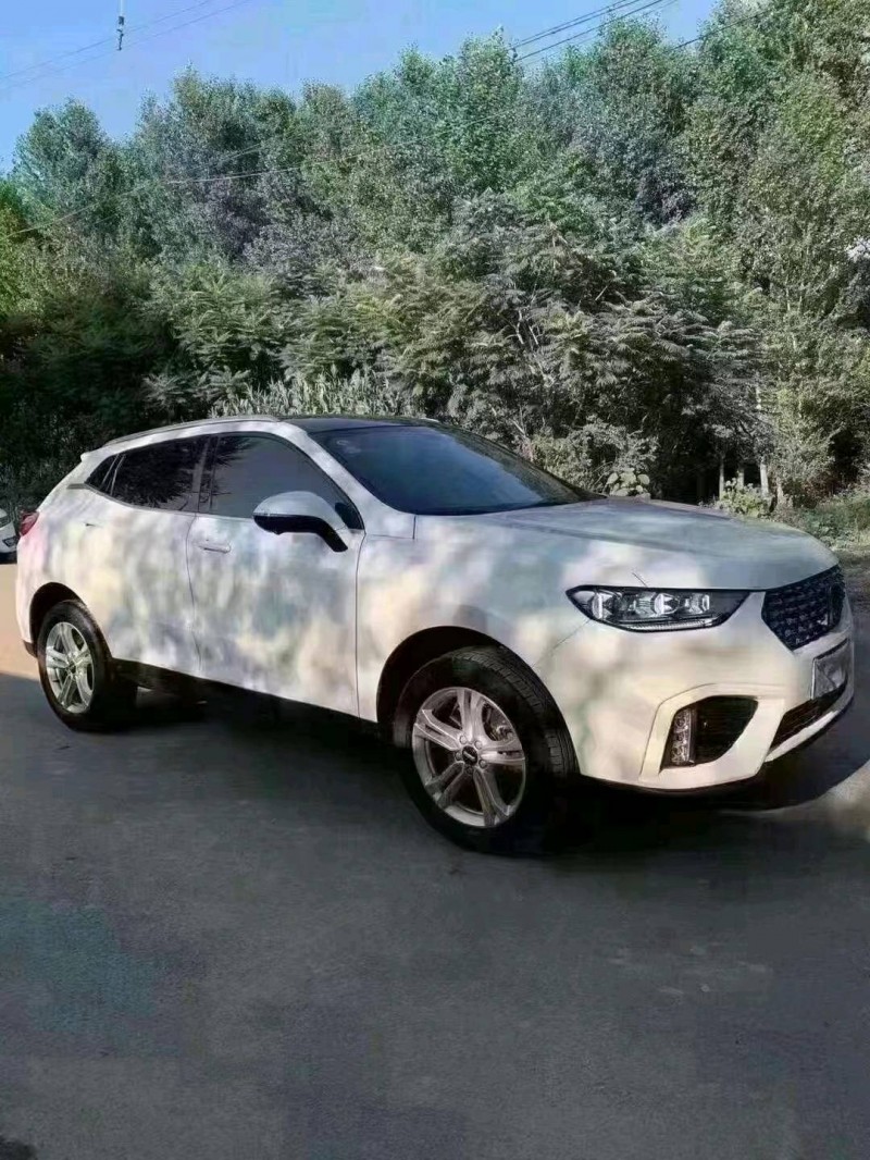 沈陽20年長城汽車WEY VV53