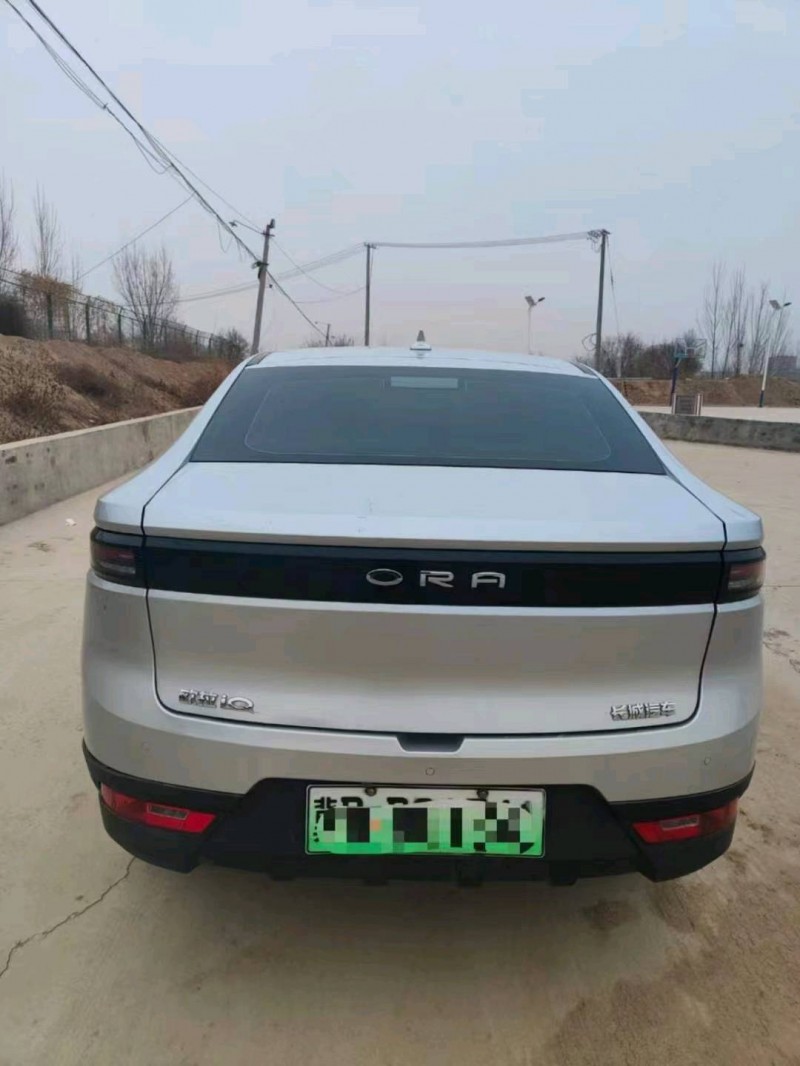 邯鄲18年長城汽車歐拉9