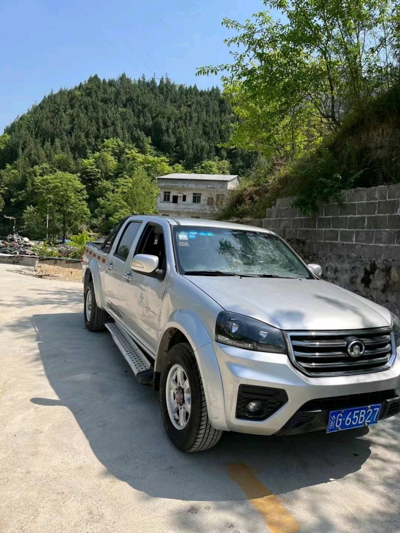 重慶17年長城汽車風駿53