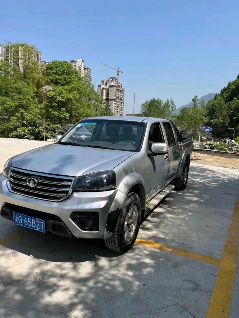 重慶17年長城汽車風駿52