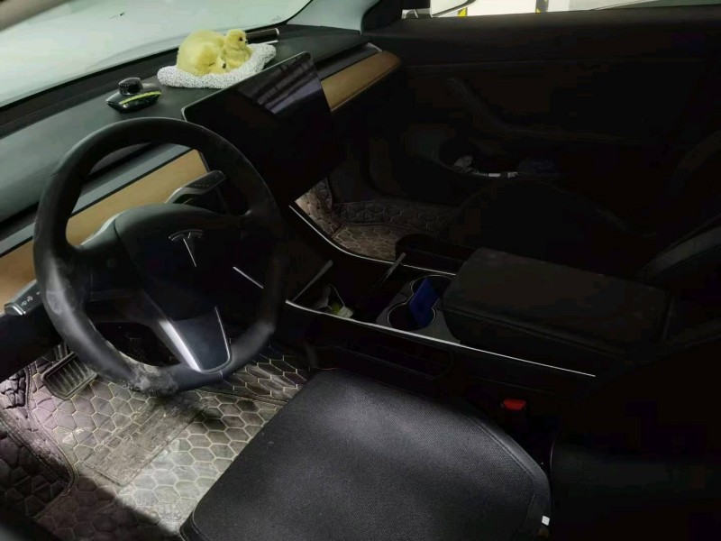 咸陽20年特斯拉MODEL 38