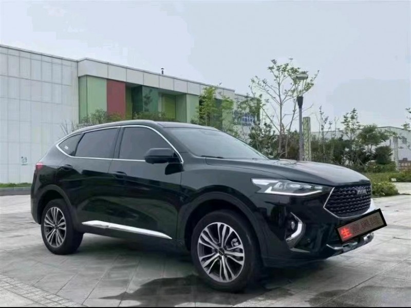 邵陽20年哈弗F7x2