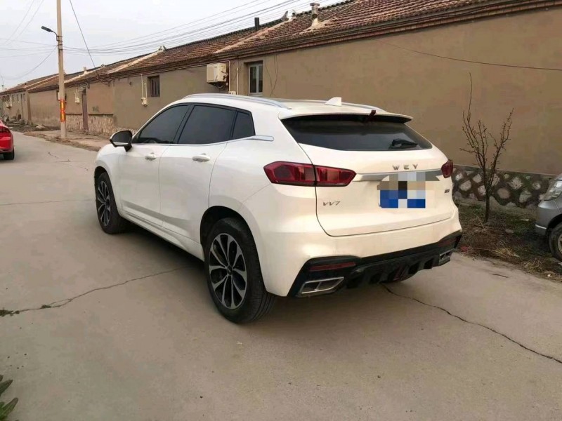 天津20年長城汽車WEY VV74