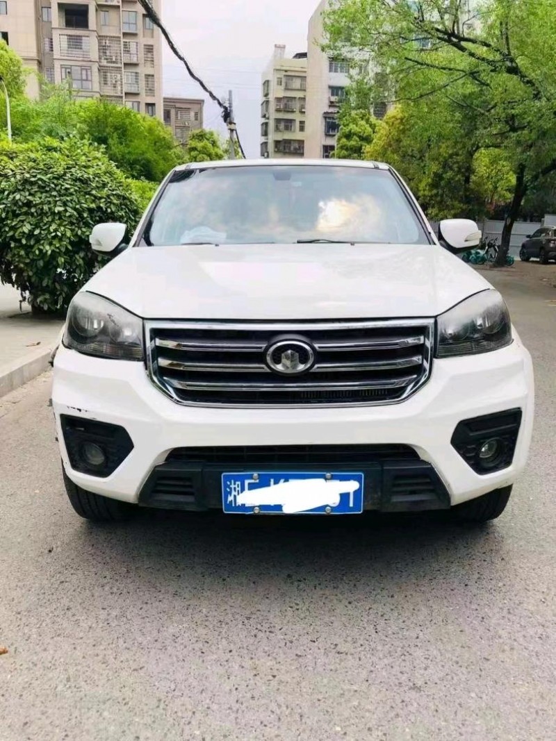 衡陽17年長城汽車風駿51