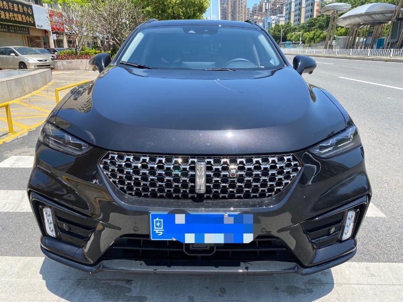 中山20年WEYVV78