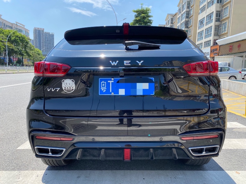 中山20年WEYVV74