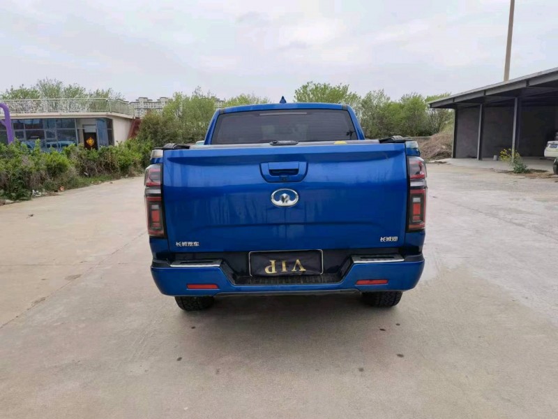 濰坊19年長城汽車炮 皮卡5