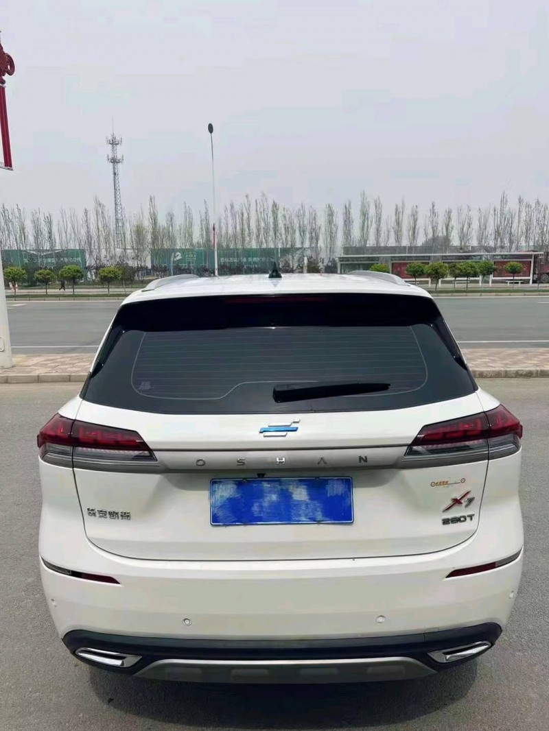 邢臺20年長安汽車歐尚9