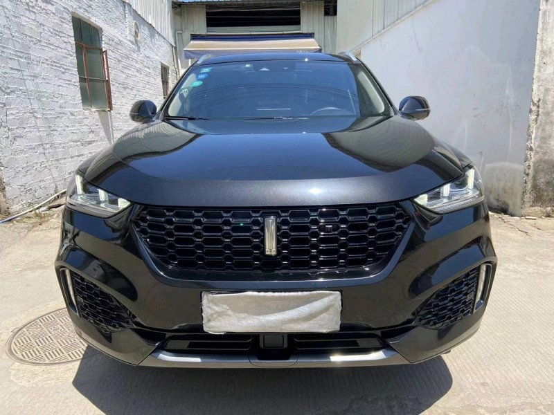 廣州19年長城汽車WEY VV61