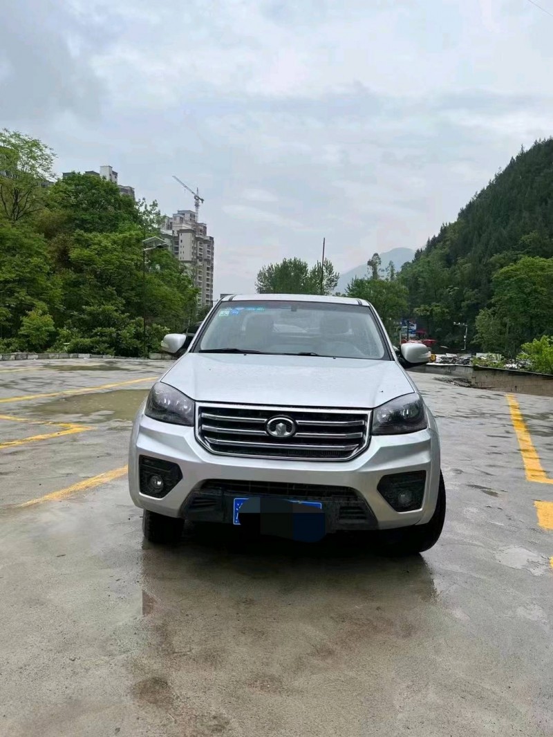 重慶17年長城汽車風駿51