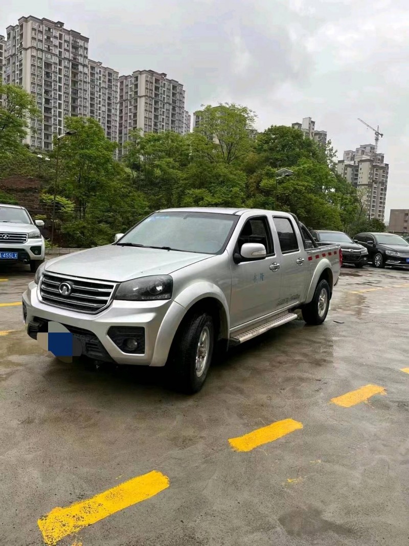 重慶17年長城汽車風駿52