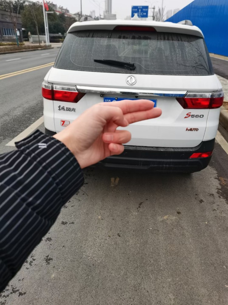 北京20年东风S5604