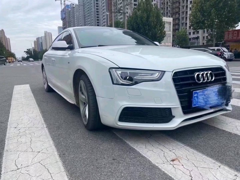 安阳16年奥迪A52