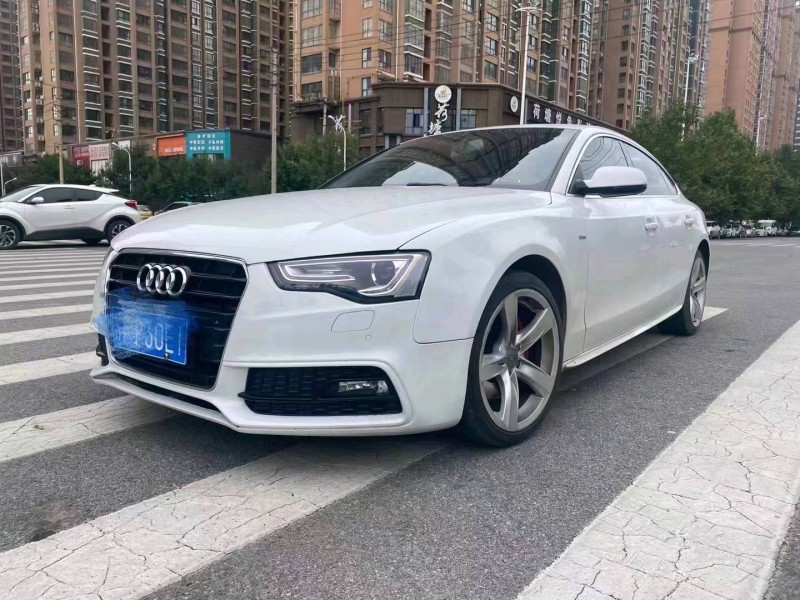 安阳16年奥迪A53