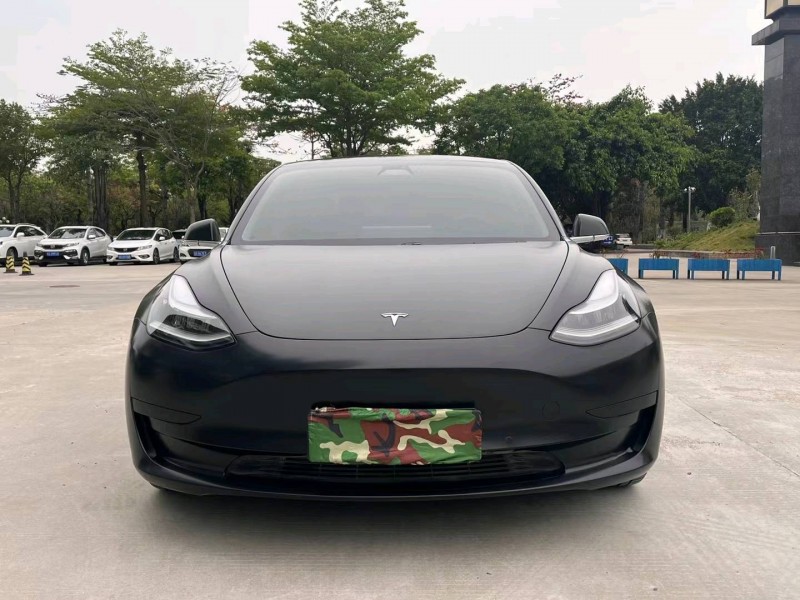 東莞20年特斯拉MODEL 31