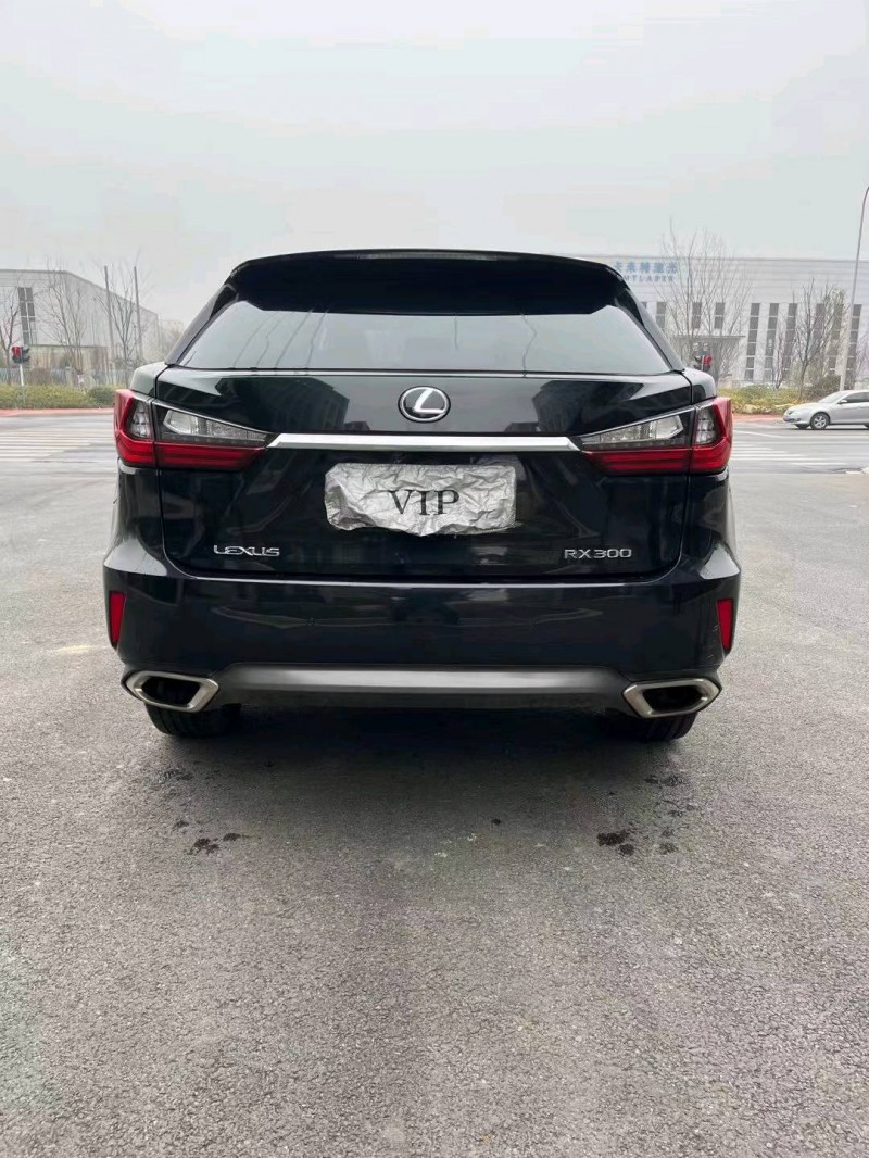 徐州18年雷克萨斯RX1