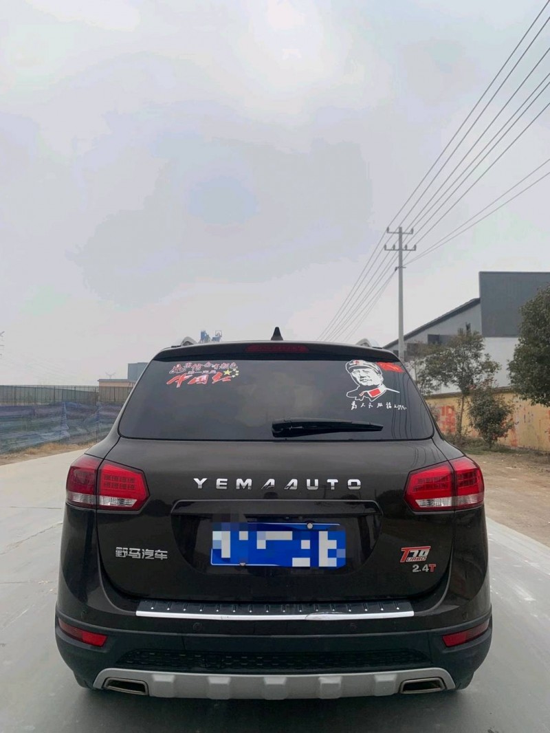 北京18年野馬汽車T703