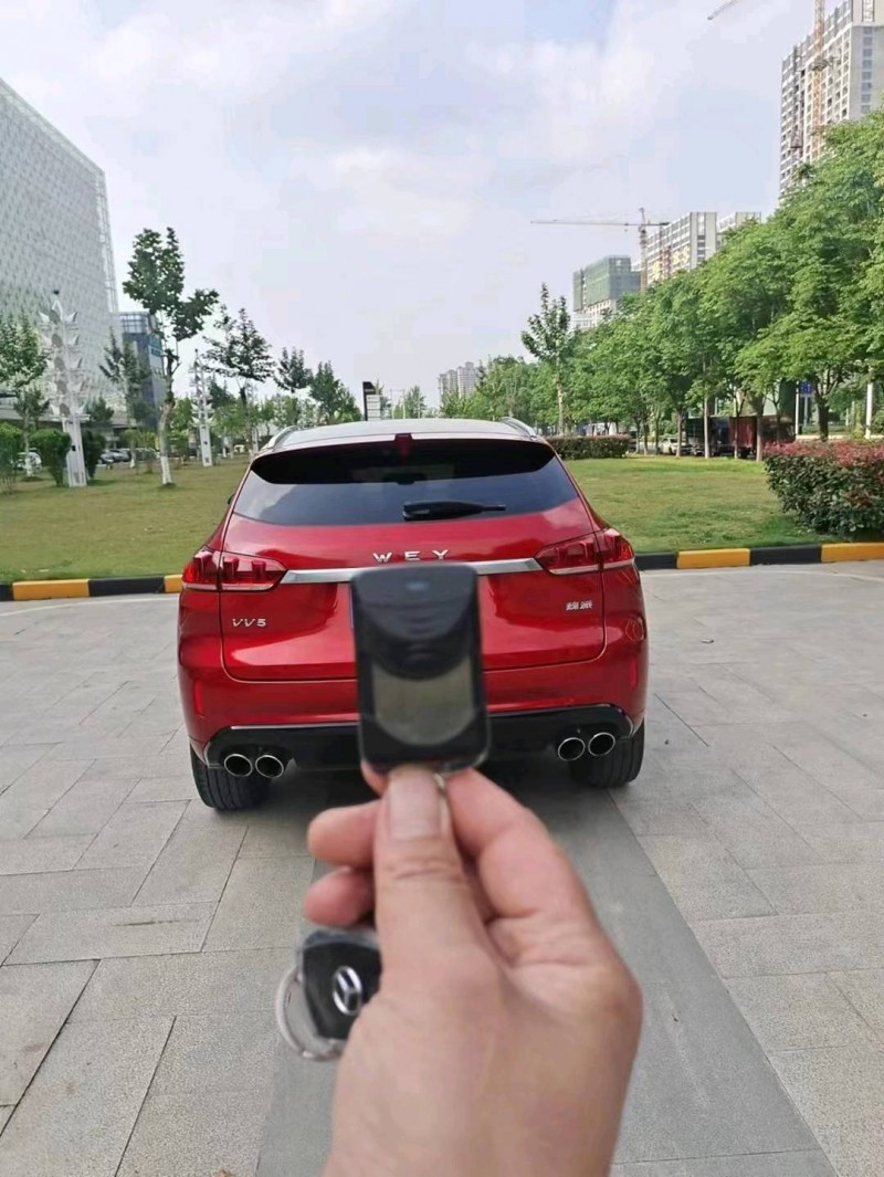 宜昌19年WEYVV54
