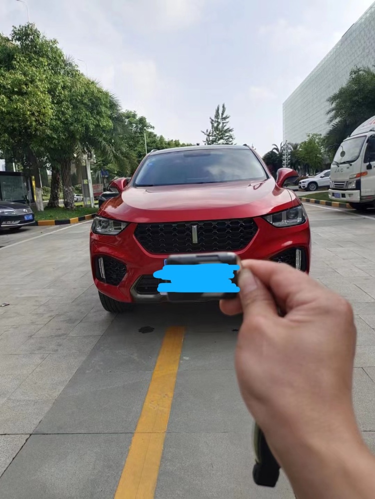 武漢19年長城汽車WEY VV51