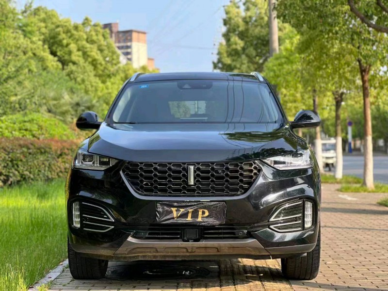阜陽19年長城汽車WEY VV51
