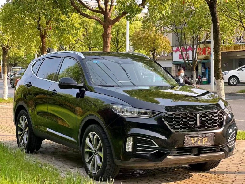 阜陽19年長城汽車WEY VV52