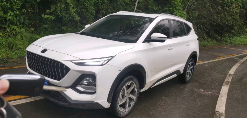 武漢20年江淮思皓X83