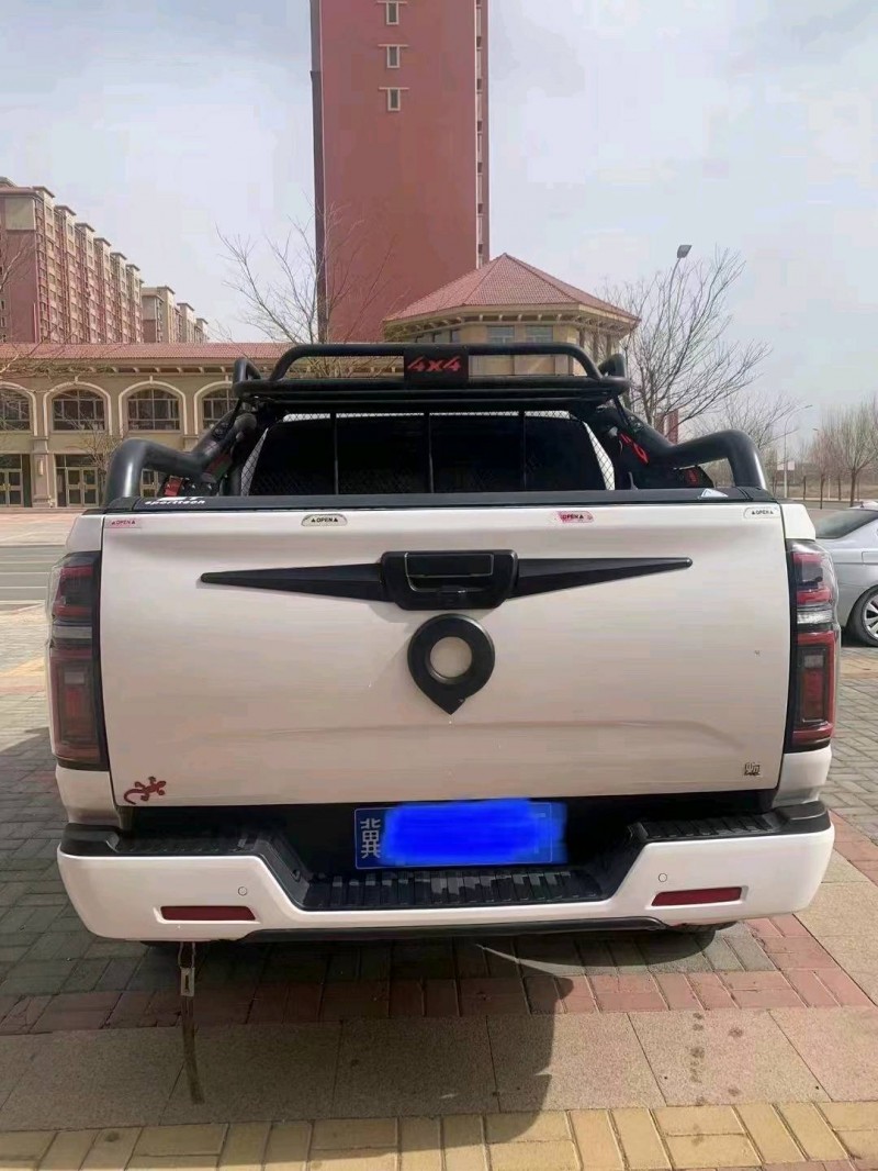通遼21年長城汽車炮 皮卡6