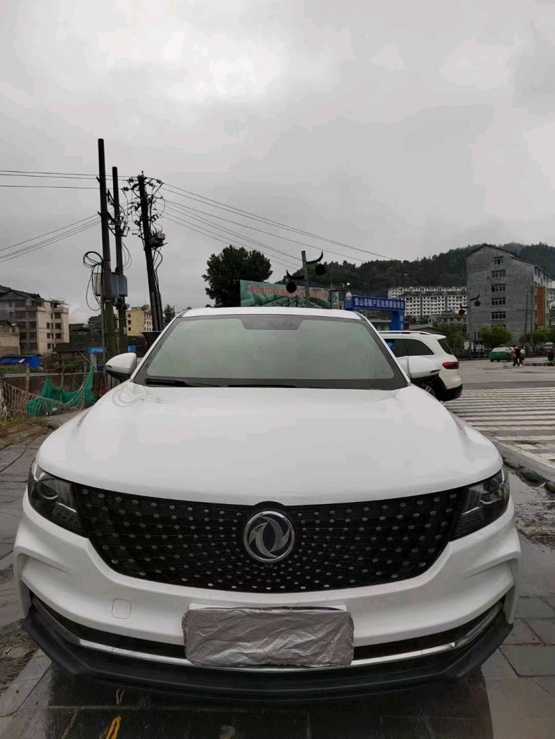 廣州19年東風風光1