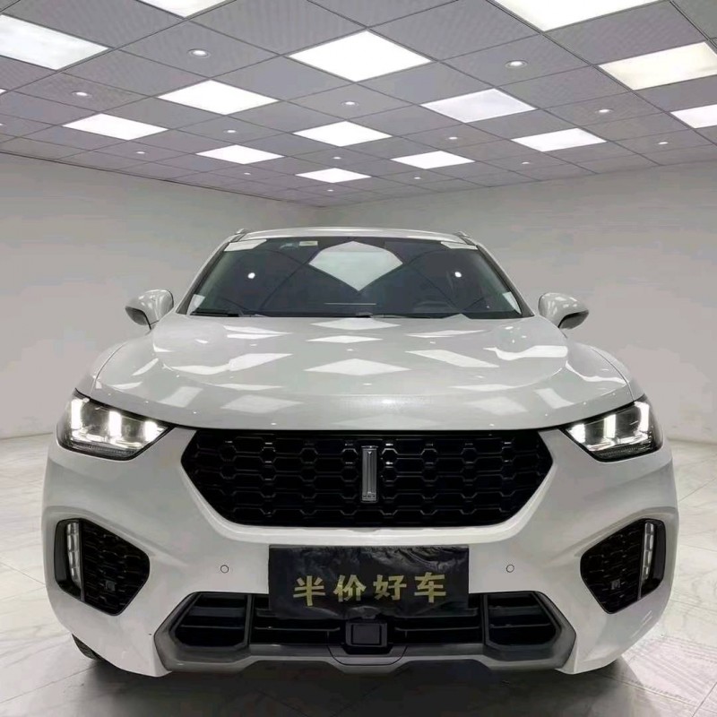 成都19年WEYVV58