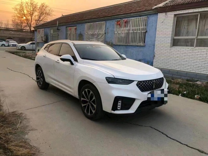 天津20年長城汽車WEY VV73