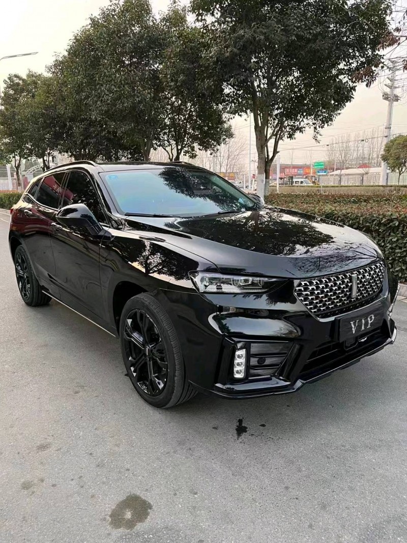 20年马鞍山长城汽车WEY VV7