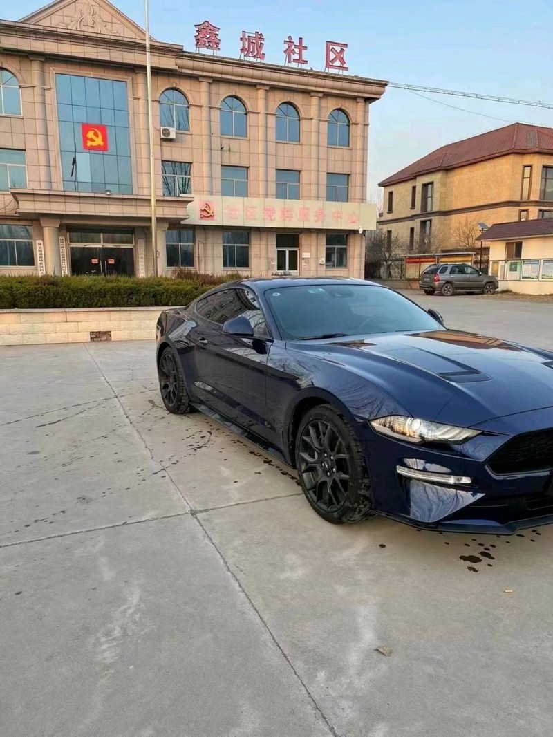 枣庄19年福特野马2