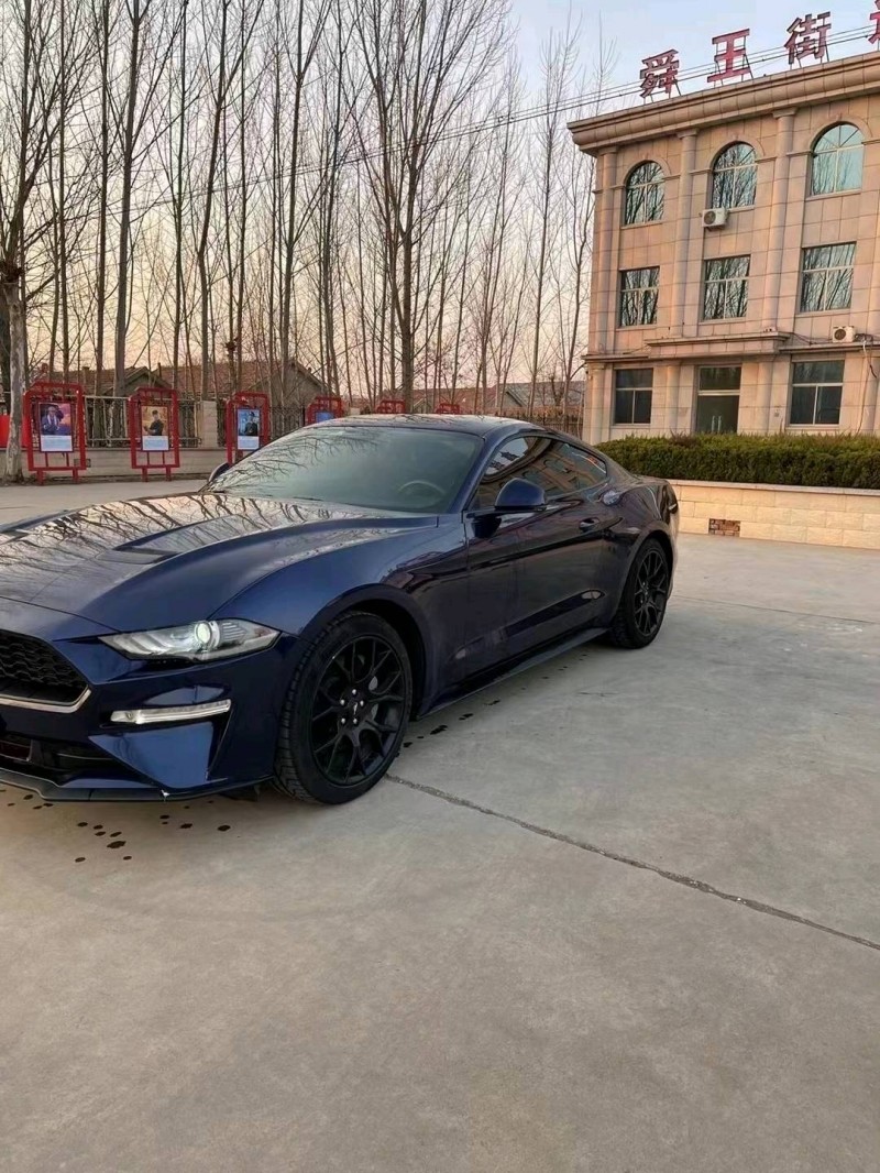 枣庄19年福特野马4