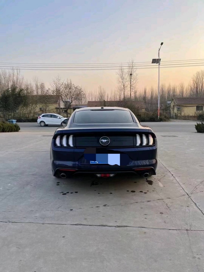 枣庄19年福特野马5