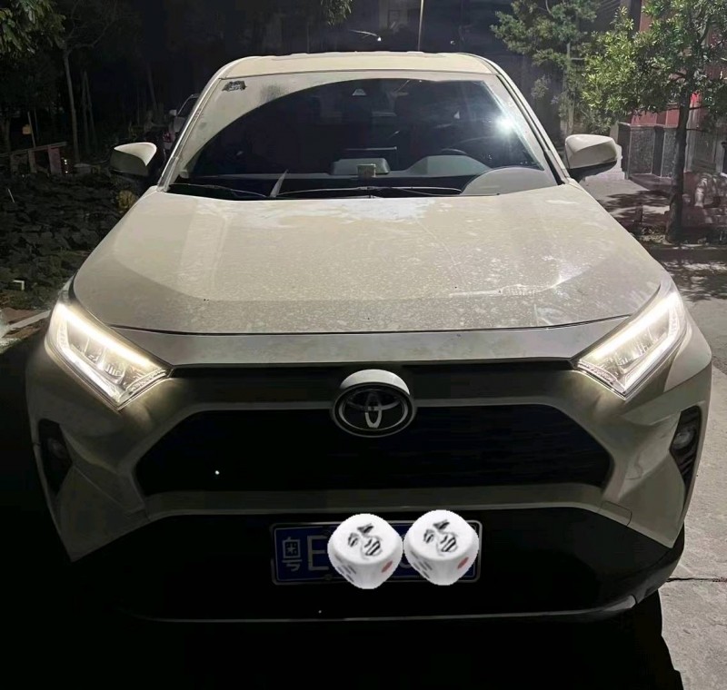 珠海19年豐田RAV4榮放1