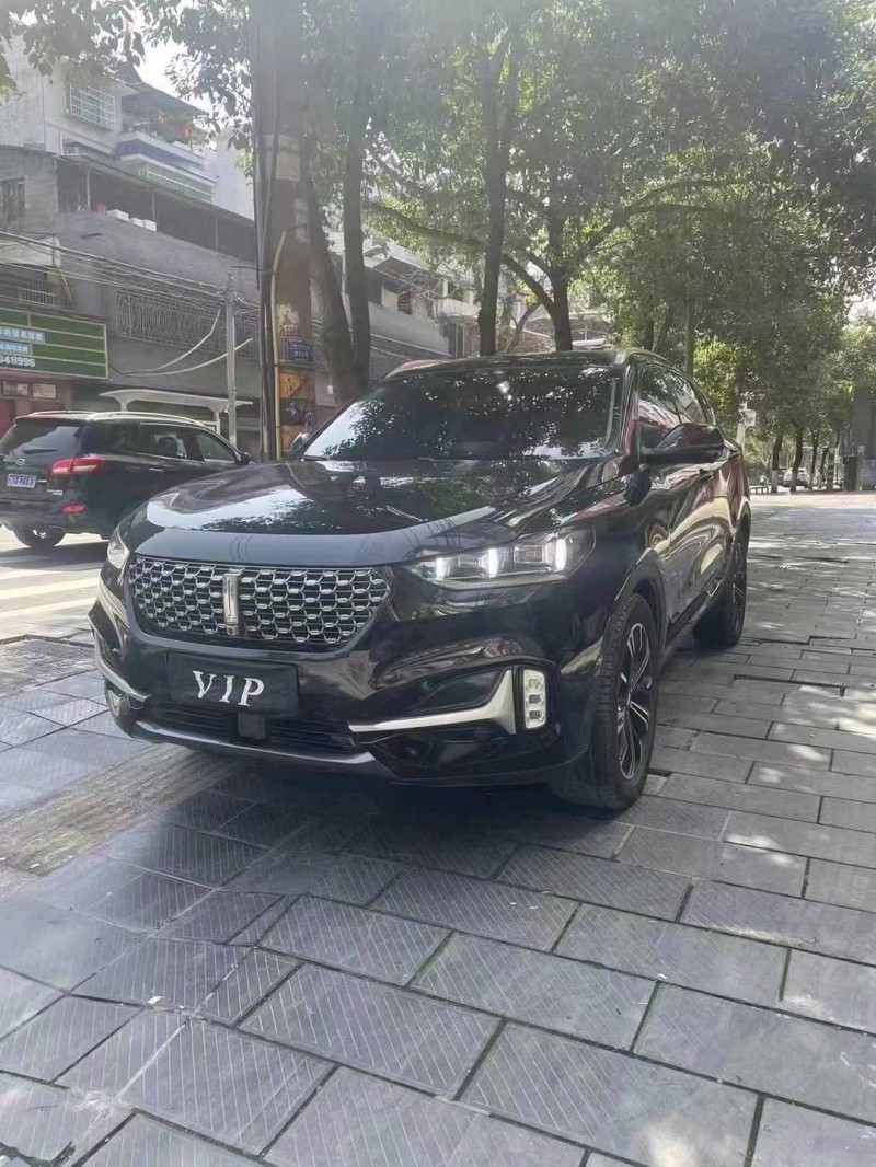 銅仁20年長城汽車WEY VV61