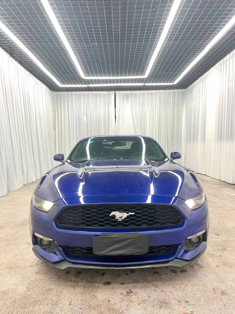 临沂15年福特野马9