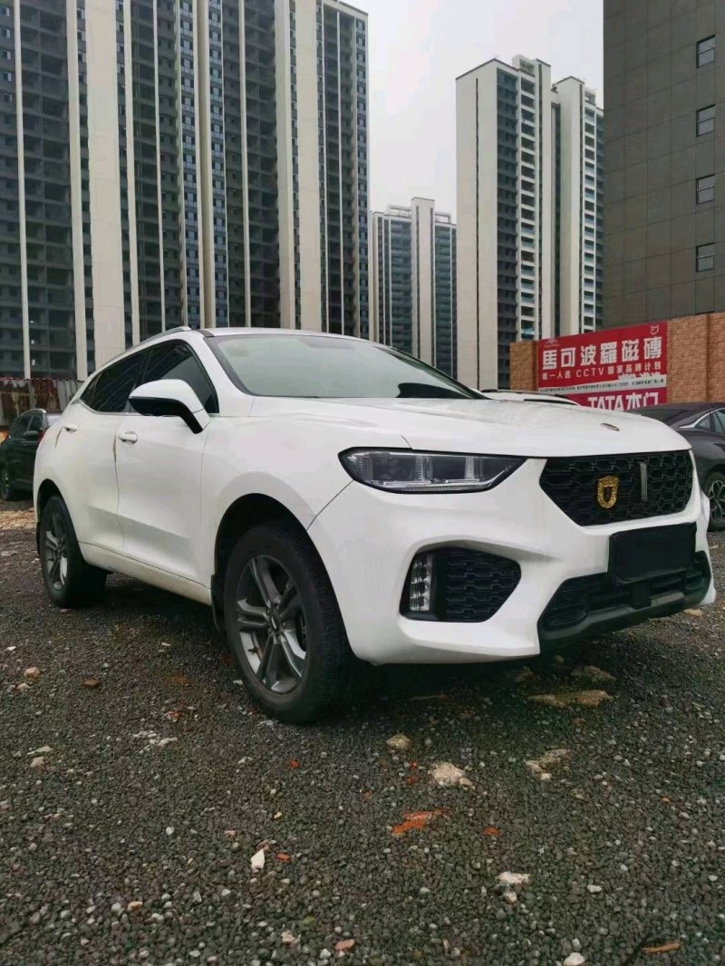 株洲19年WEYVV52