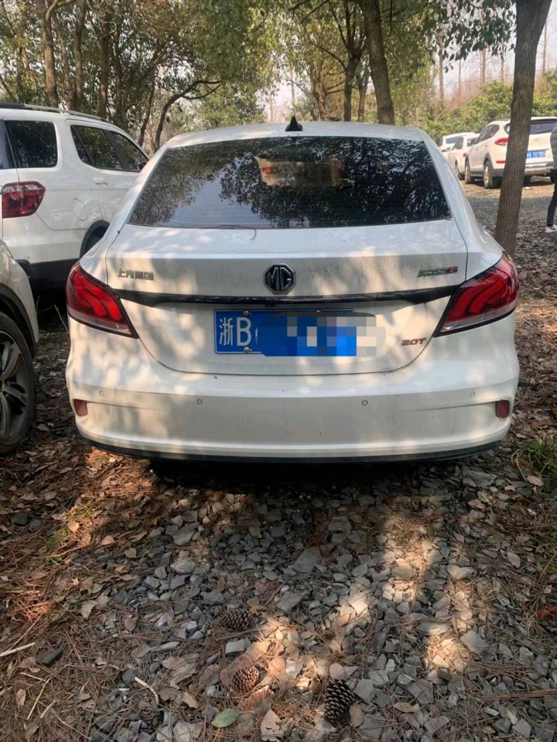 臺州19年名爵65