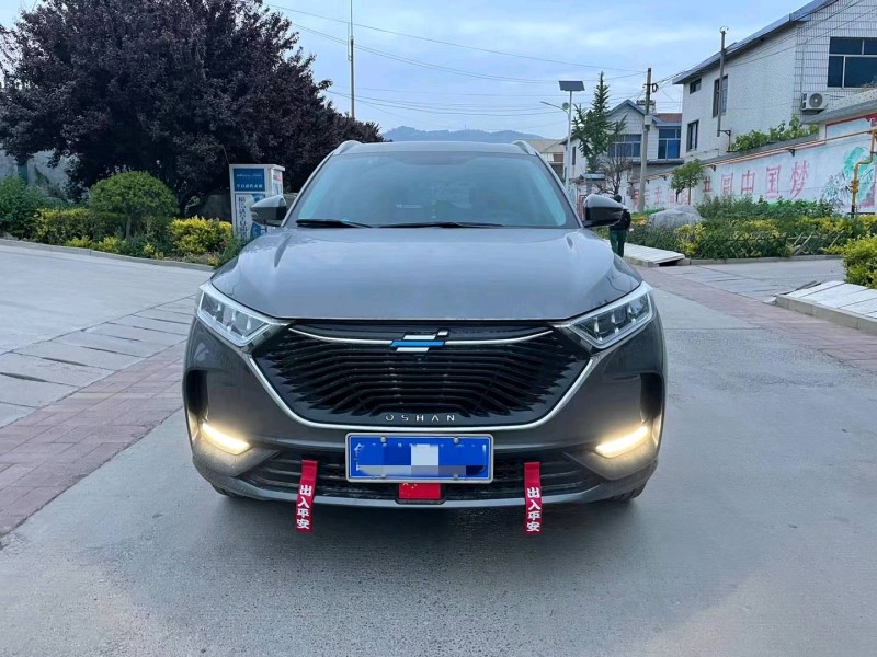 淄博20年長安汽車歐尚1
