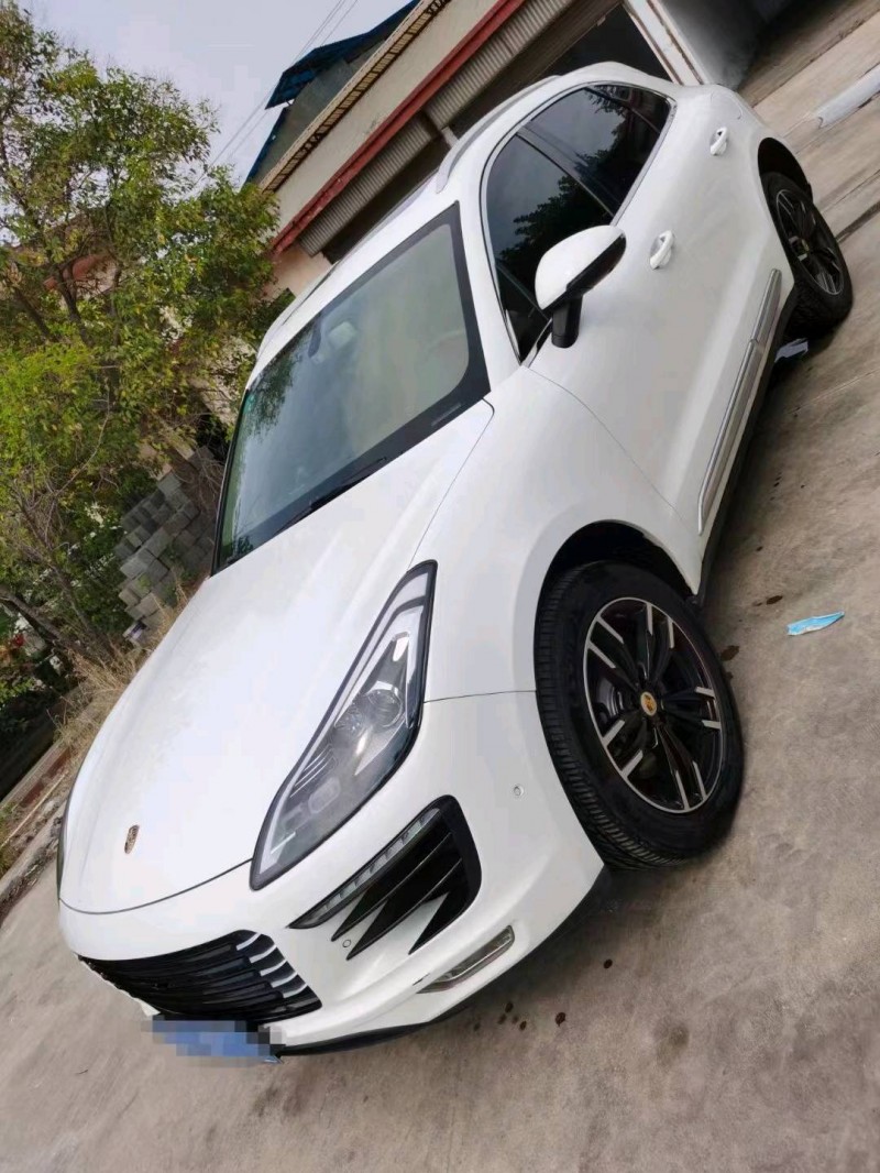 臨沂19年眾泰SR96