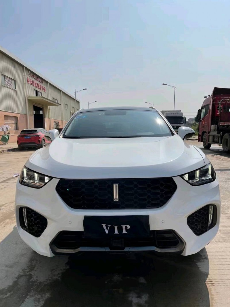 東莞19年長城汽車WEY VV51