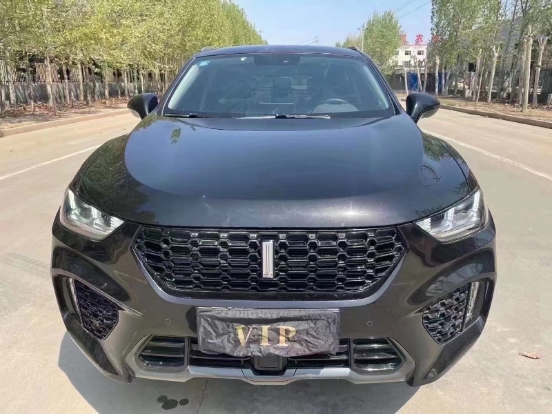 石家莊19年長城汽車WEY VV51
