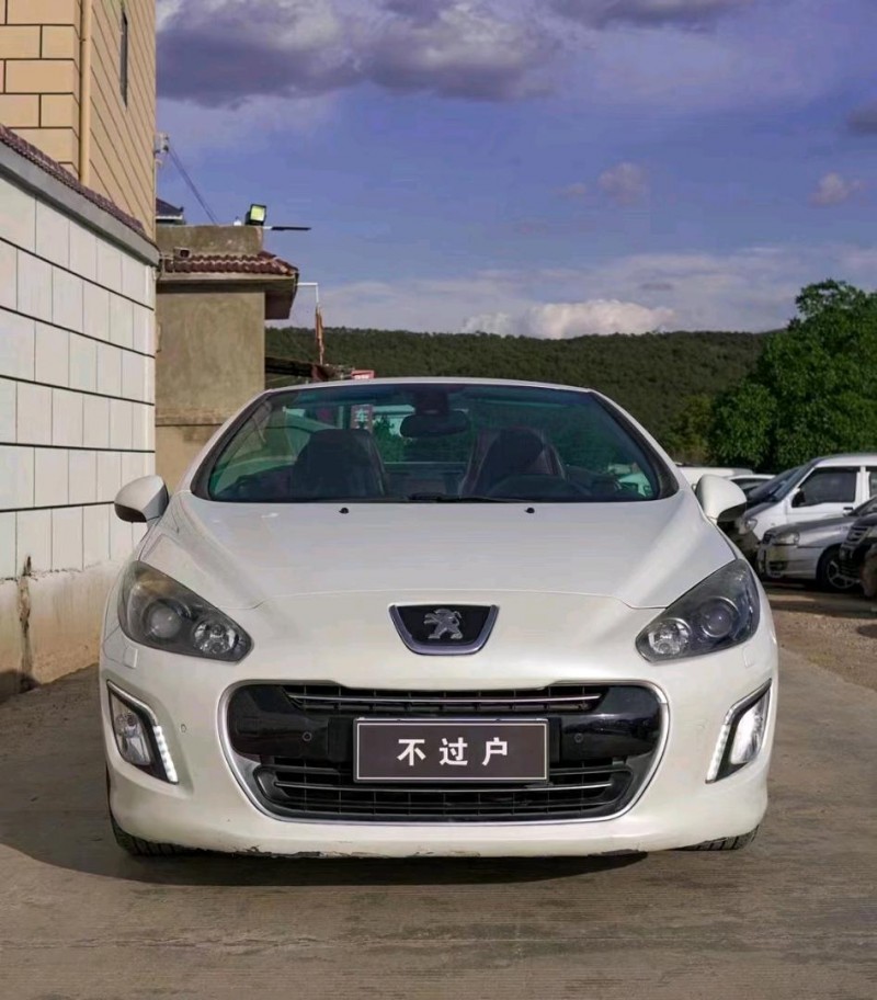 麗江13年標致3081