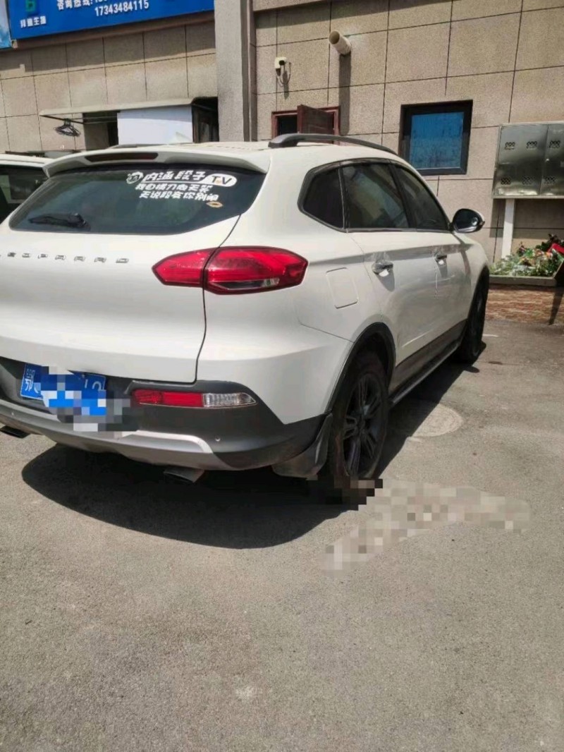 鄂州16年獵豹汽車CS103