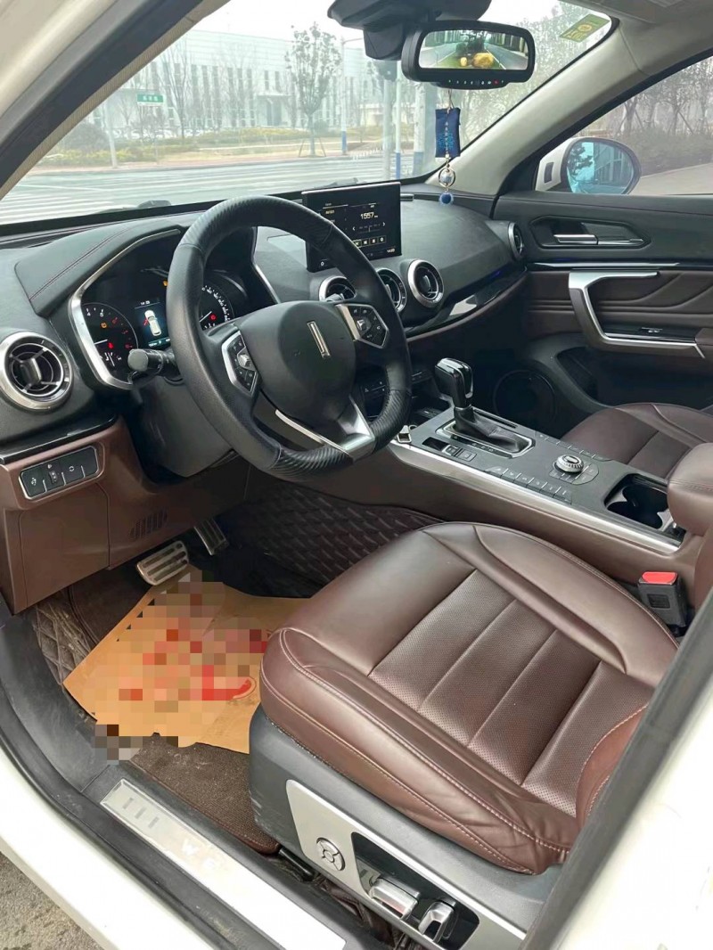 徐州17年長城汽車WEY VV56