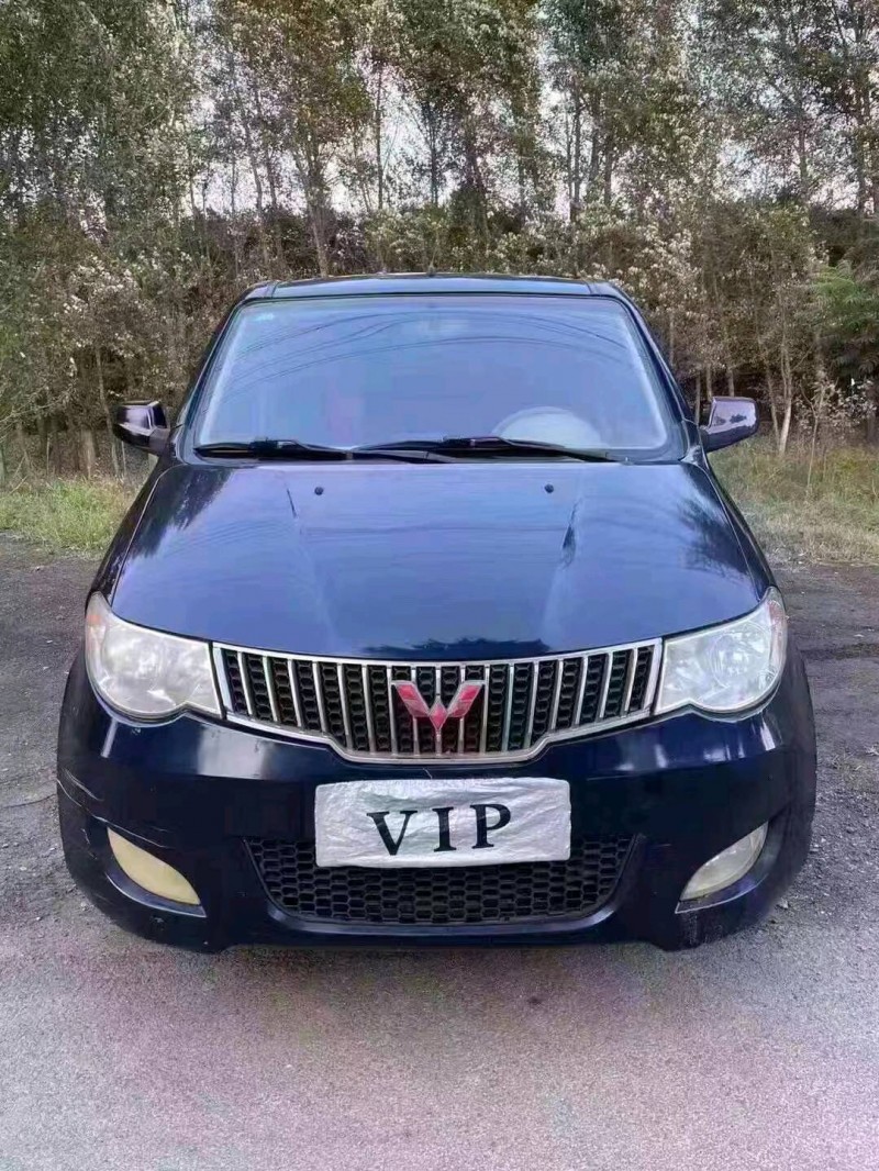 沈陽14年五菱汽車宏光1