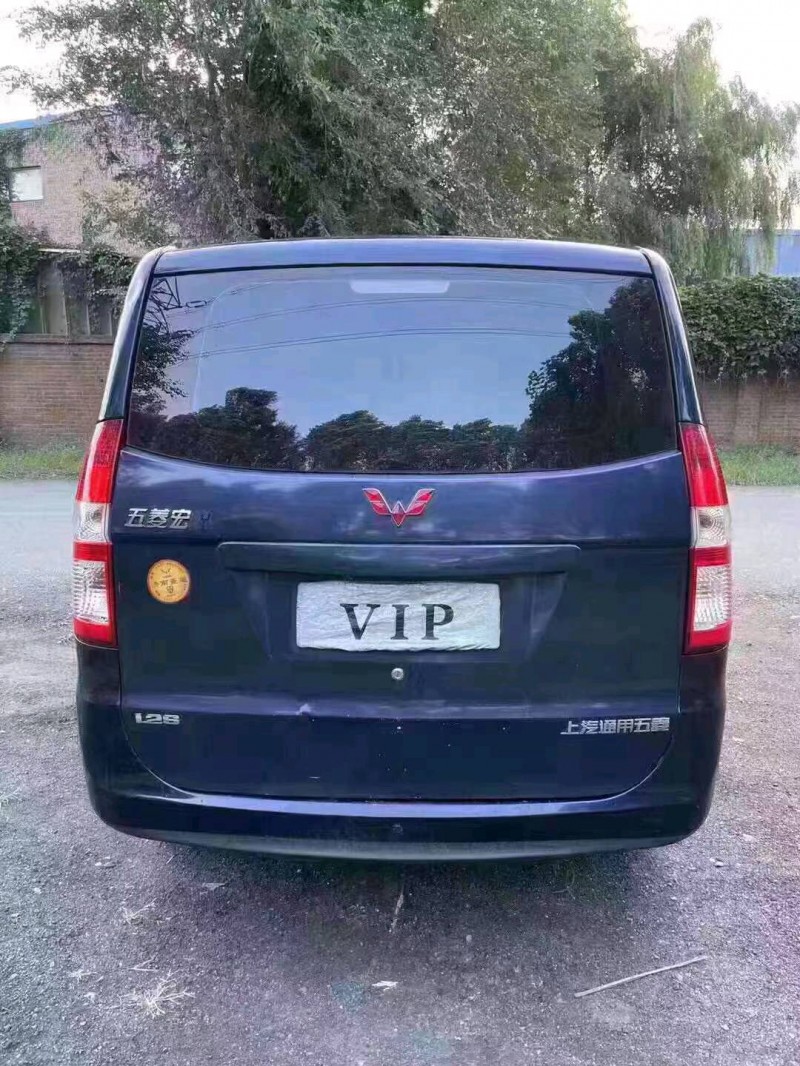 沈陽14年五菱汽車宏光5