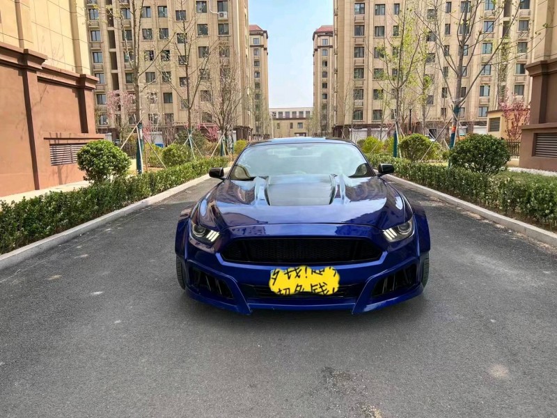 潍坊16年福特野马1