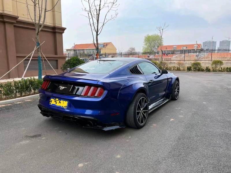 潍坊16年福特野马6